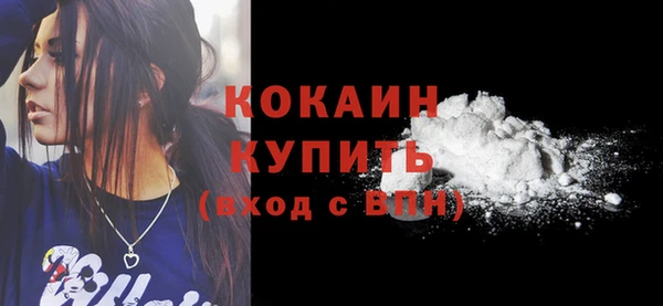 гидра Медвежьегорск