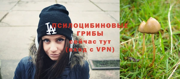 экстази Медногорск