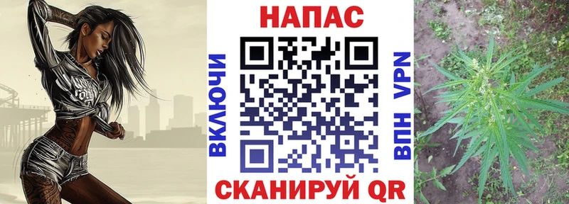 сайты даркнета официальный сайт  Дорогобуж  Конопля SATIVA & INDICA 